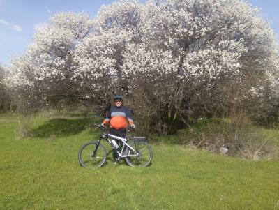 Прикрепленное изображение: IMG_20160403_124656.jpg